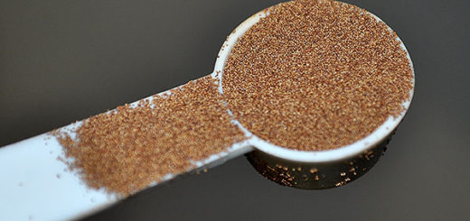 hatching-brine-shrimp-eggs