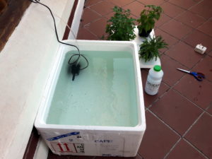 Basic Hydroponics System with Fish Tank Pump
